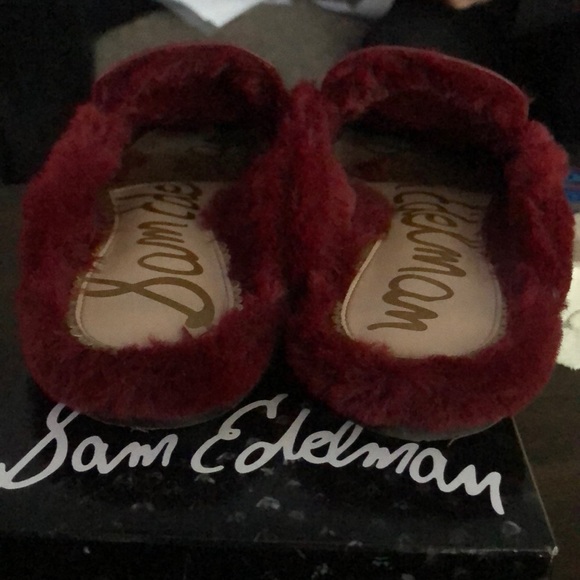 Minnie, Beetred/Fxfur - Picture 4 of 4